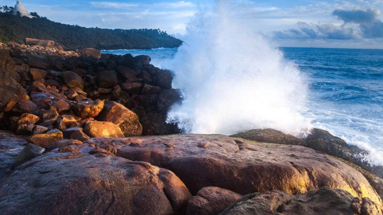 Colágeno Marino: los mares son un gran proveedor