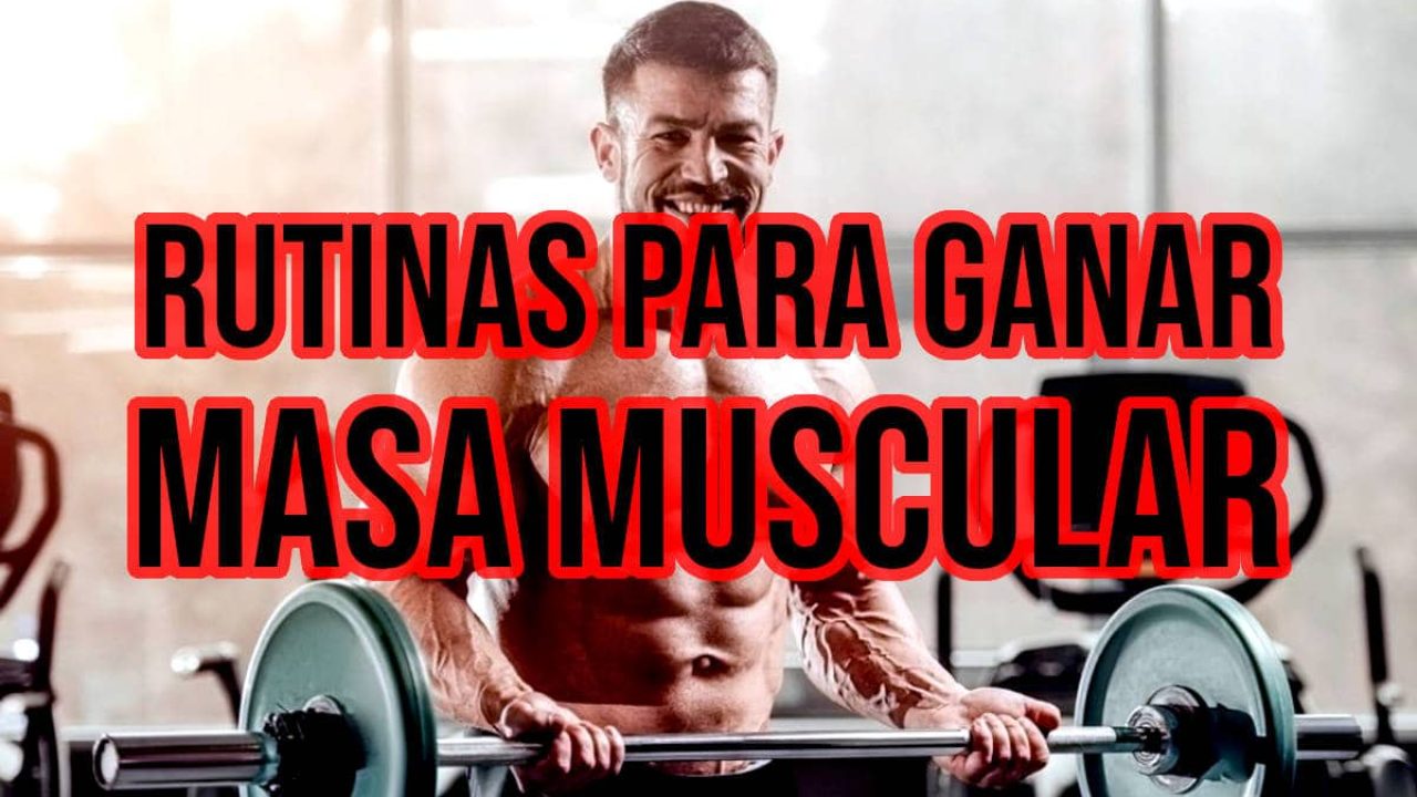 Las Mejores Rutinas de Entrenamiento para ganar Masa Muscular