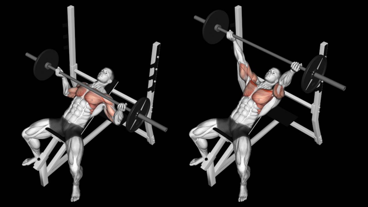 Cómo hacer press de banca inclinado con barra – Guía para Principiantes