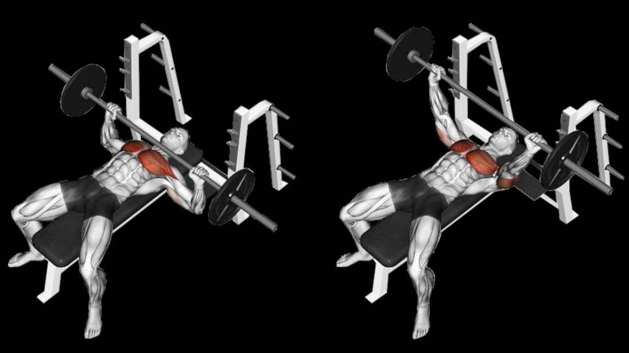 Press de Banca, Guía para Principiantes