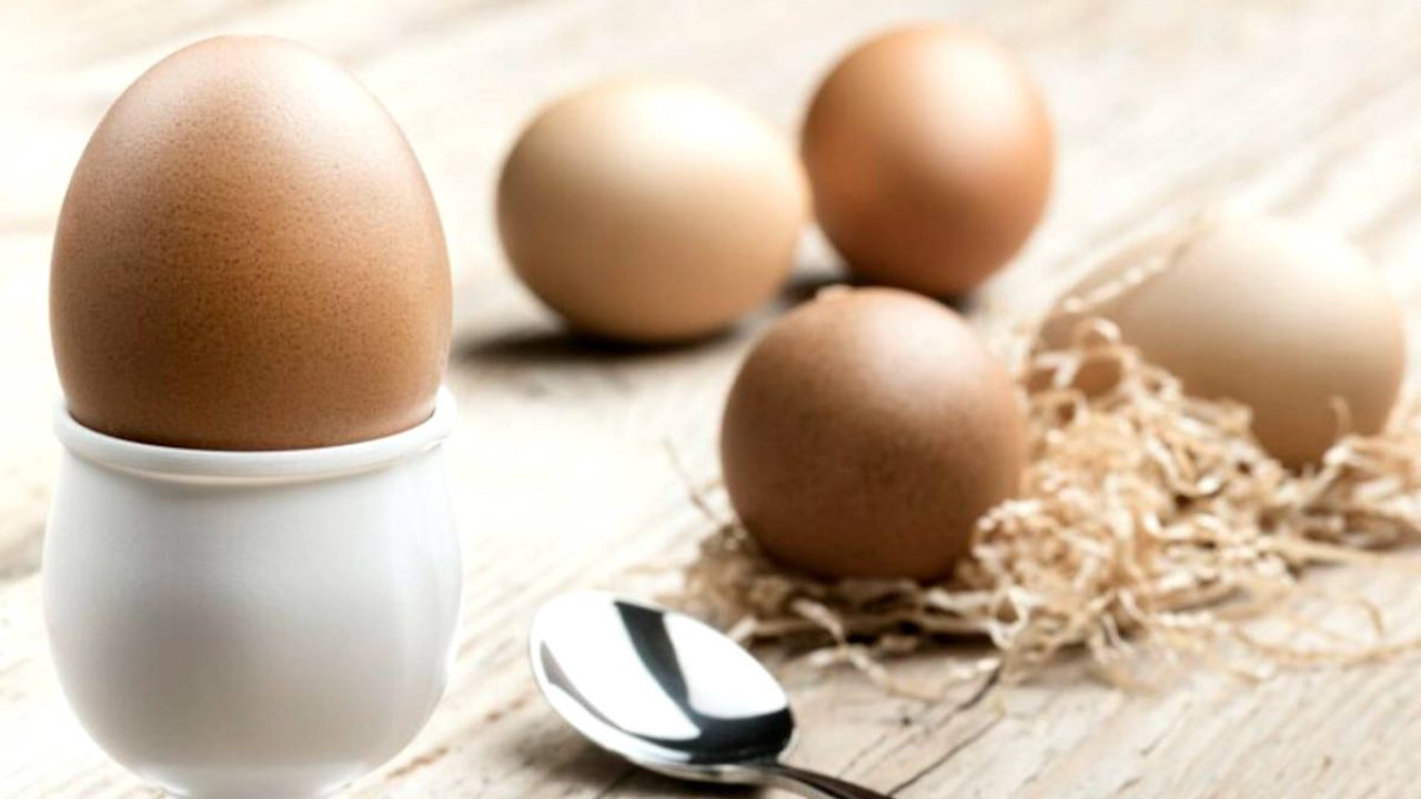 Proteína de Clara de Huevo, 5 Beneficios Importantes