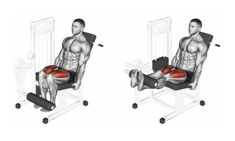 C mo Hacer Extensiones De Cu driceps Gu a Para Principiantes c-mo-hacer-extensiones-de-cu-driceps-gu-a-para-principiantes