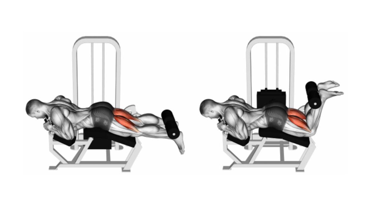 Cómo hacer Curl Femoral Tumbado. Guía para Principiantes.