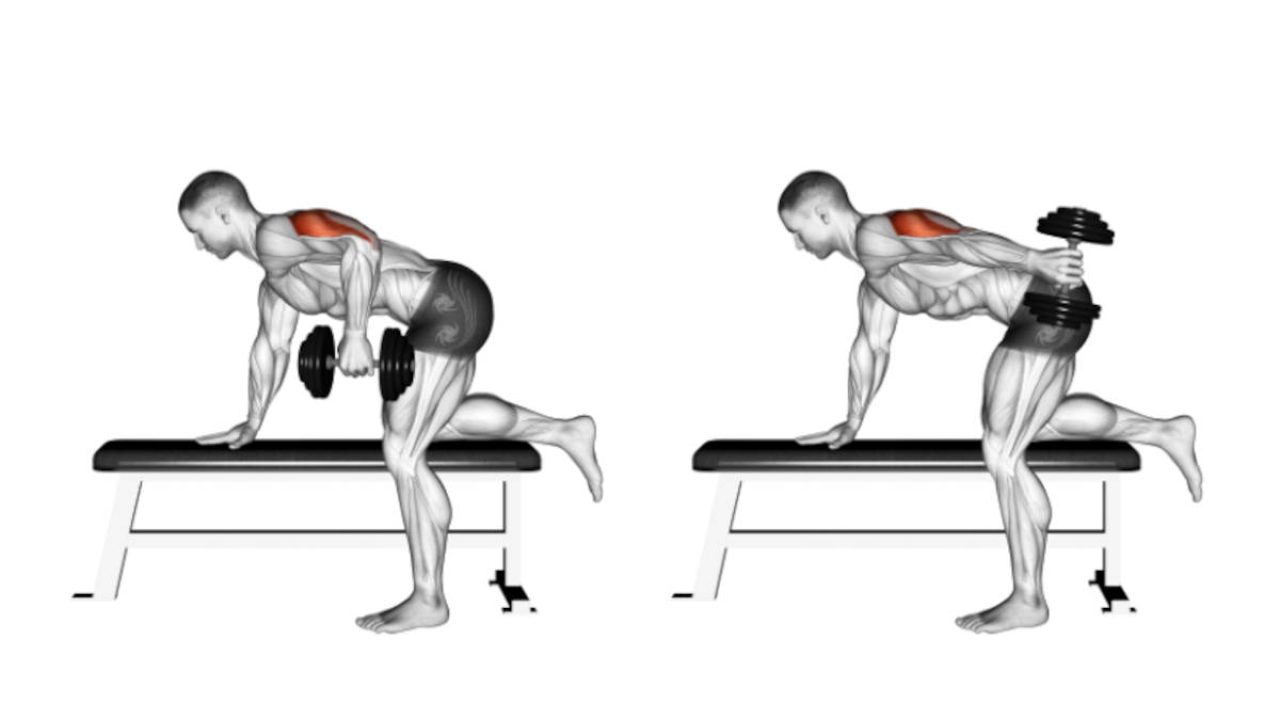 Cómo hacer Patadas de Tríceps. Guía para principiantes