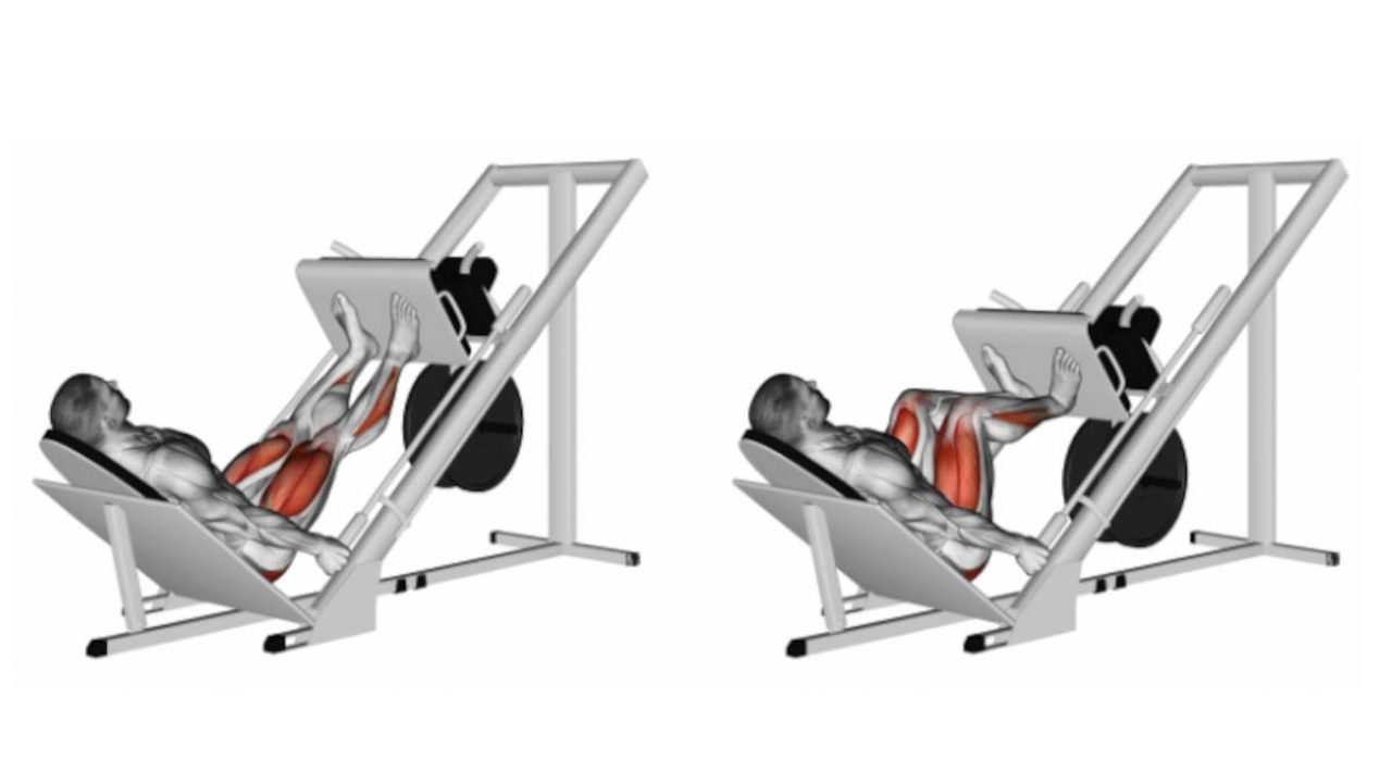 Cómo hacer prensa de Piernas. Guía para principiantes