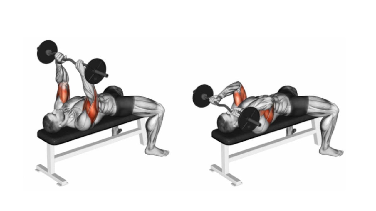 Cómo hacer Press Francés. Guía para Principiantes.