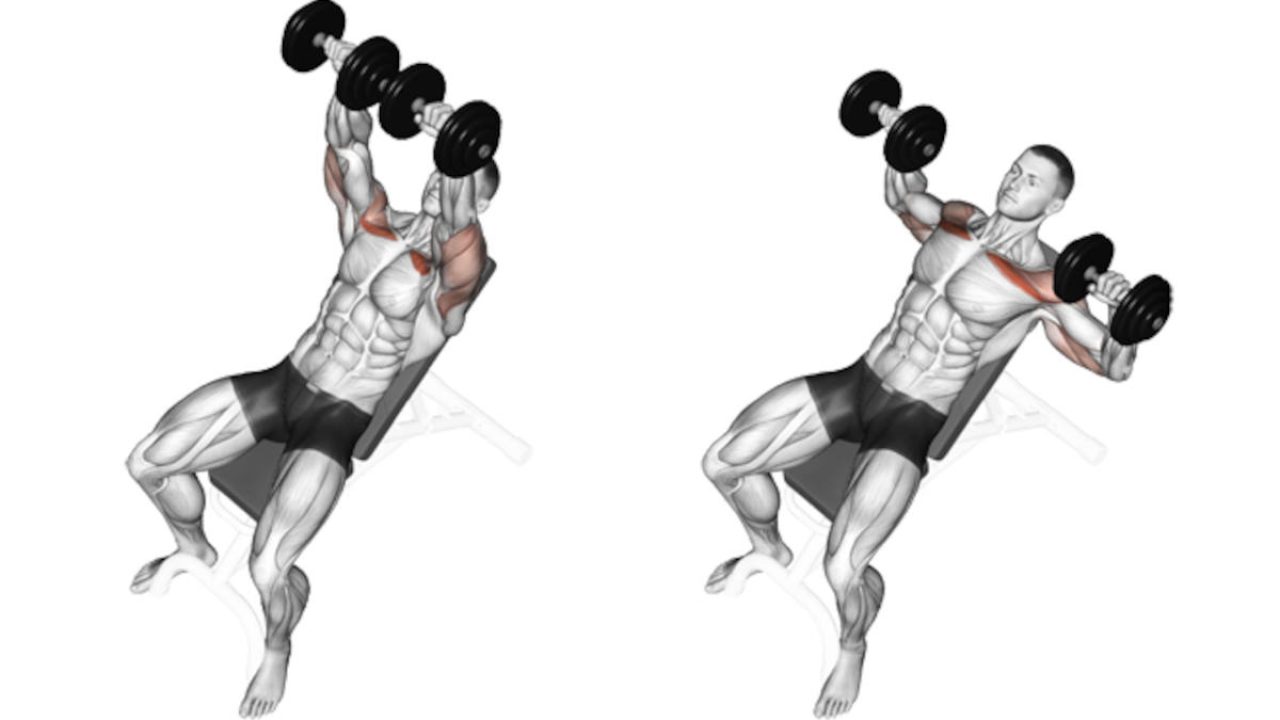 Press Inclinado con Mancuernas Consigue el Pecho de Arnold